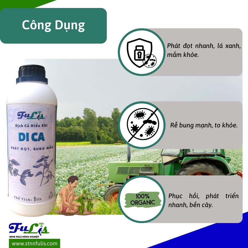 Dịch Đạm Cá Vi Lượng Hữu Cơ Cho Rau, Củ, Quả, Lúa DICA Phát Đọt, Bung Mầm Chính Hãng Dịch Đạm Cá Vi Lượng Hữu Cơ Cho Rau, Củ, Quả, Lúa DICA Phát Đọt, Bung Mầm Chính Hãng - Ảnh 2