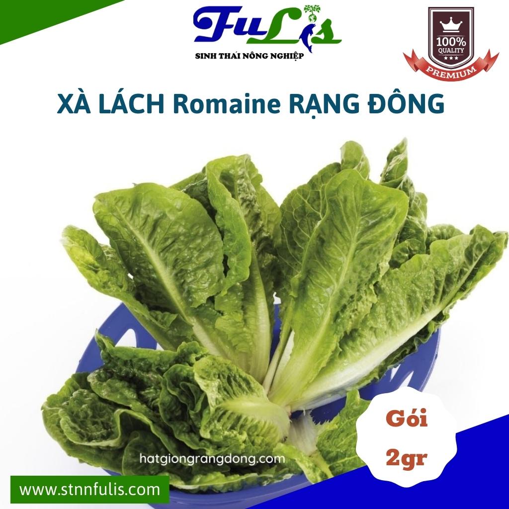 Hạt Giống Xà Lách Minetto - Xà Lách Romaine RẠNG ĐÔNG Nảy Mầm Tốt Bảo Quản Lâu Chính Hãng Hạt Giống Xà Lách Minetto - Xà Lách Romaine RẠNG ĐÔNG Nảy Mầm Tốt Bảo Quản Lâu Chính Hãng - Ảnh 4
