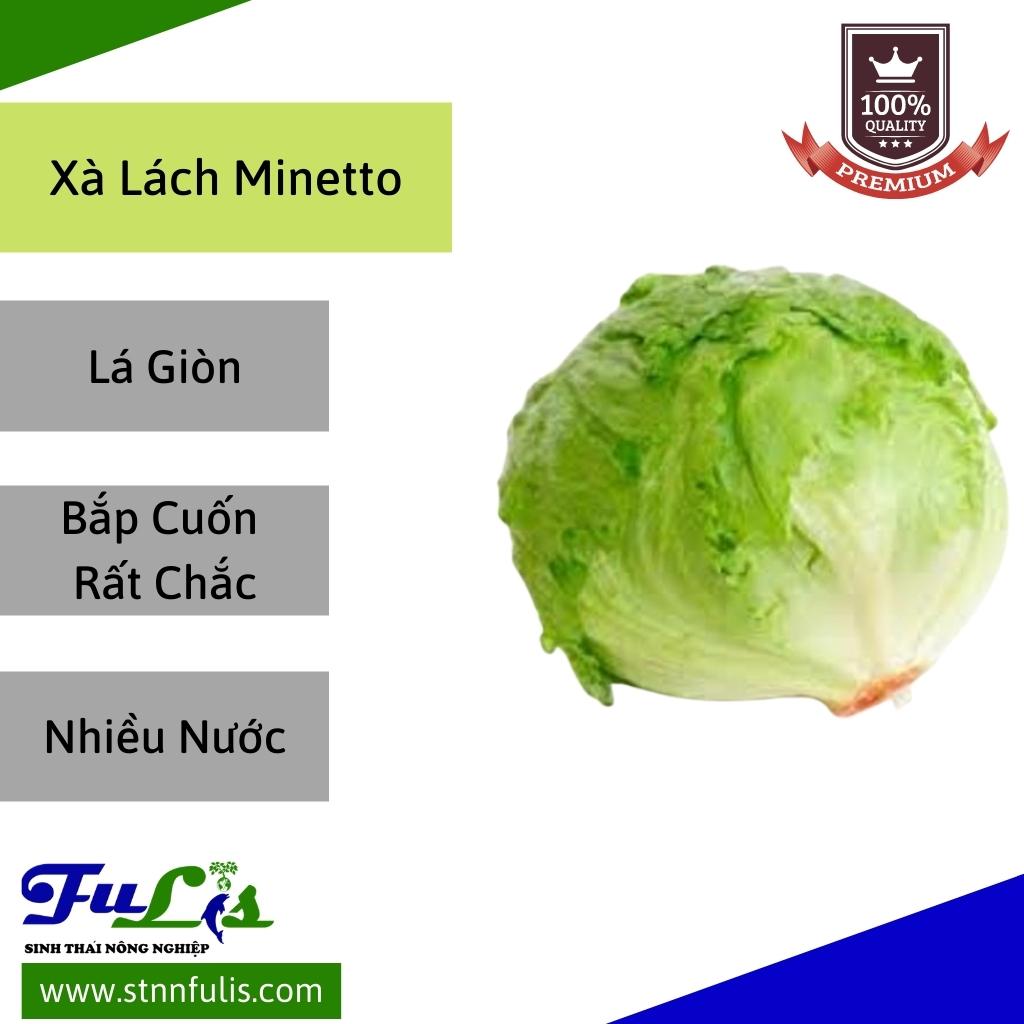 Hạt Giống Xà Lách Minetto - Xà Lách Romaine RẠNG ĐÔNG Nảy Mầm Tốt Bảo Quản Lâu Chính Hãng Hạt Giống Xà Lách Minetto - Xà Lách Romaine RẠNG ĐÔNG Nảy Mầm Tốt Bảo Quản Lâu Chính Hãng - Ảnh 5