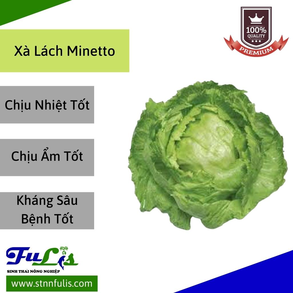 Hạt Giống Xà Lách Minetto - Xà Lách Romaine RẠNG ĐÔNG Nảy Mầm Tốt Bảo Quản Lâu Chính Hãng Hạt Giống Xà Lách Minetto - Xà Lách Romaine RẠNG ĐÔNG Nảy Mầm Tốt Bảo Quản Lâu Chính Hãng - Ảnh 6