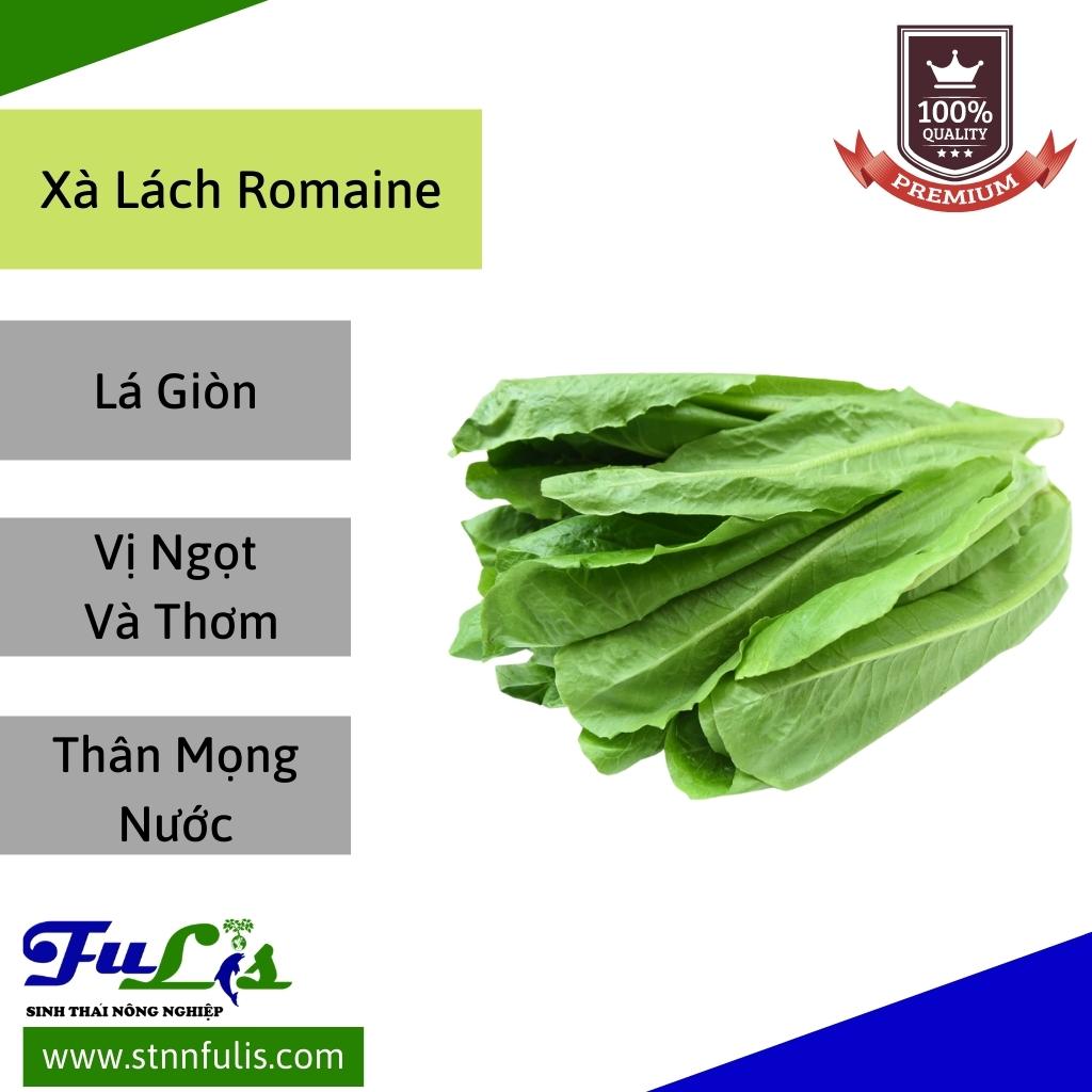 Hạt Giống Xà Lách Minetto - Xà Lách Romaine RẠNG ĐÔNG Nảy Mầm Tốt Bảo Quản Lâu Chính Hãng Hạt Giống Xà Lách Minetto - Xà Lách Romaine RẠNG ĐÔNG Nảy Mầm Tốt Bảo Quản Lâu Chính Hãng - Ảnh 7