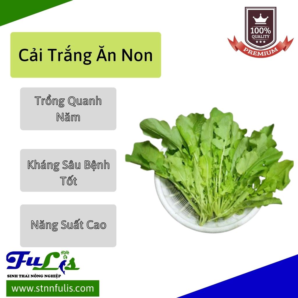 Hạt Giống Cải Thìa - Cải Trắng Ăn Non RẠNG ĐÔNG Nảy Mầm Tốt Bảo Quản Lâu Chính Hãng Hạt Giống Cải Thìa - Cải Trắng Ăn Non RẠNG ĐÔNG Nảy Mầm Tốt Bảo Quản Lâu Chính Hãng - Ảnh 7